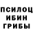 Галлюциногенные грибы мухоморы Camperas