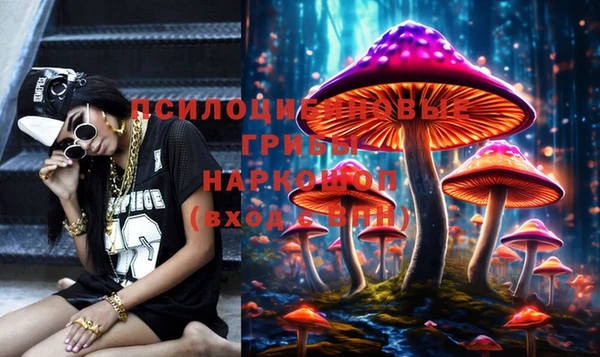 СК Нефтегорск