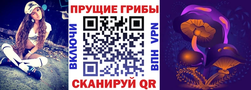 цена наркотик  Полтавская  Галлюциногенные грибы GOLDEN TEACHER 